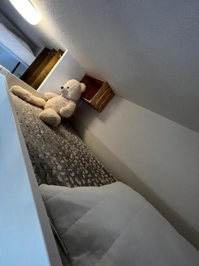 La Joue Du Loup, Aux Pieds Des Pistes Et Vue Sur Montagnes Apartman Kültér fotó
